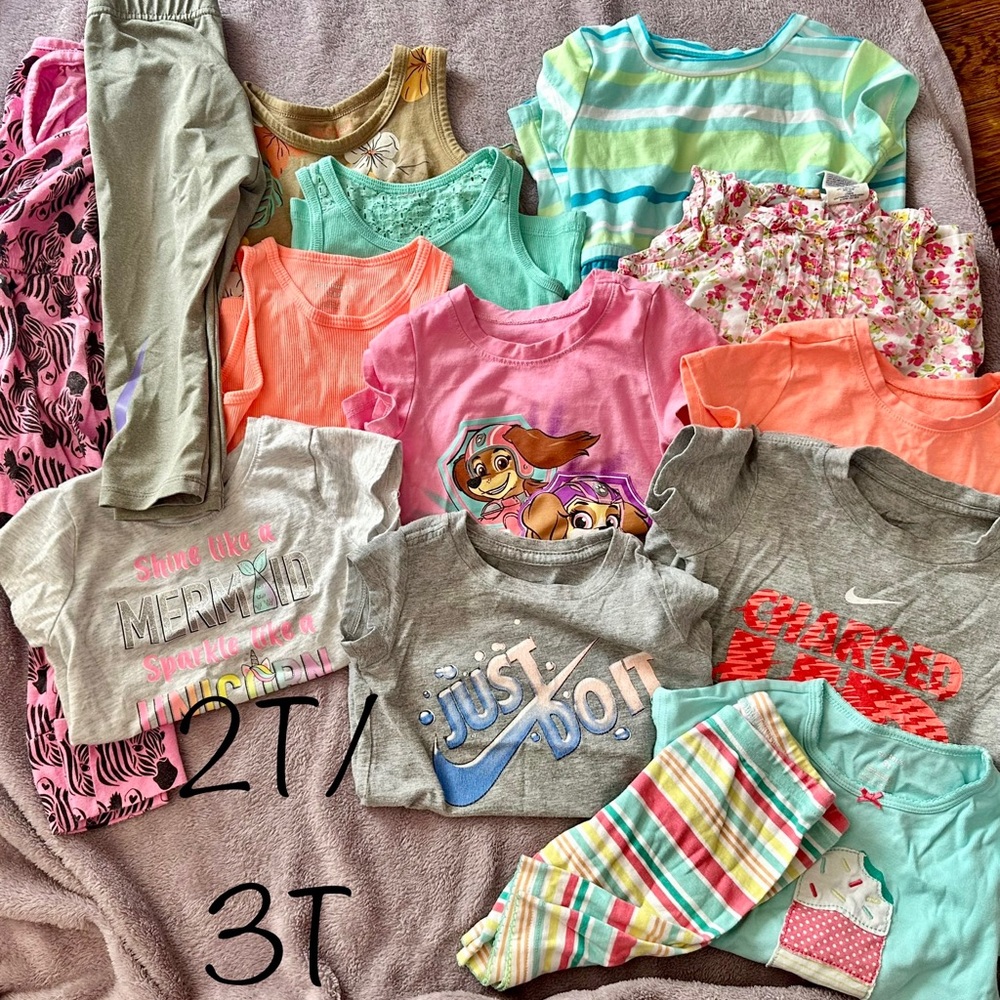 Girls 2t/3t bundle